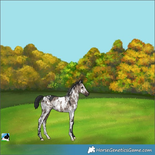 Horse Color:White Spotted Brown Ice Dun Mushroom Brindle 