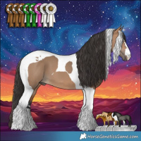 Horse Color:Bay Dun Tobiano