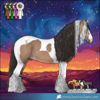 Horse Color:Bay Dun Tobiano 