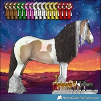 Horse Color:Bay Dun Tobiano 