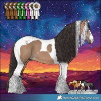 Horse Color:Bay Dun Tobiano 