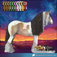 Horse Color:Bay Dun Tobiano