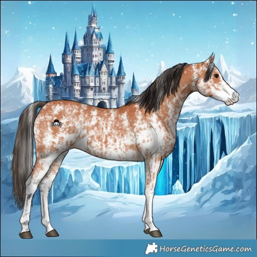 Horse Color:Bay Sabino  and Bay Sabino 