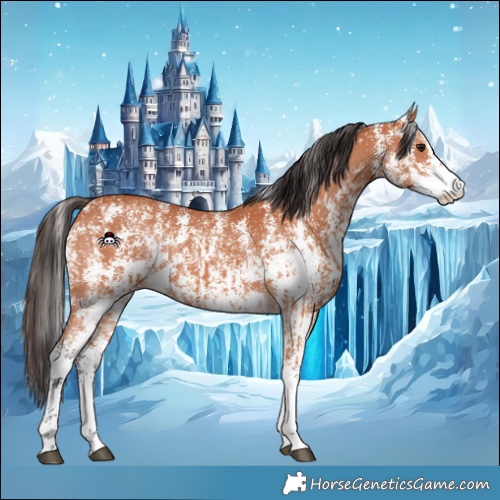 Horse Color:Bay Sabino  and Bay Sabino 