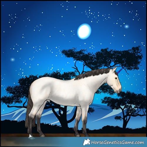 Horse Color:Buckskin Roan Dun