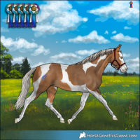 Horse Color:Silver Buckskin Splash Tobiano 
