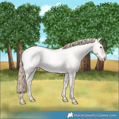 Horse Color:Perlino Roan Dun 