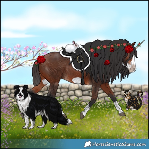 Horse Color:Bay Splash Frame Rabicano