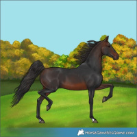Horse Color:Brown 