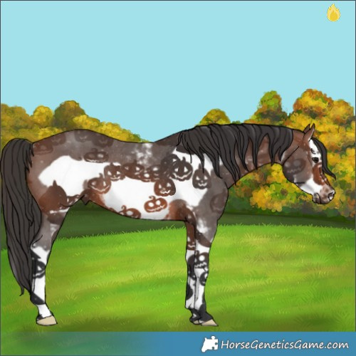 Horse Color:Brown Sabino Splash Frame Rabicano