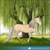 Horse Color:Palomino and Palomino
