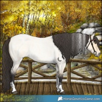 Horse Color:Buckskin Roan Dun Tobiano and Buckskin Roan Dun Tobiano