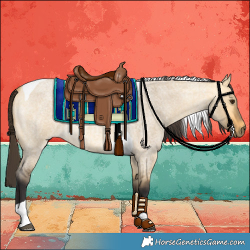 Horse Color:Buckskin Roan Dun Tobiano 