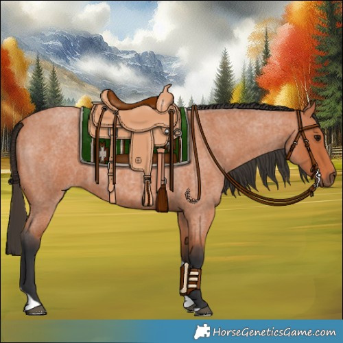 Horse Color:Bay Roan Tobiano