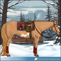Horse Color:Chestnut Frame
