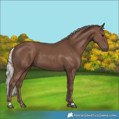 Horse Color:Silver Black 