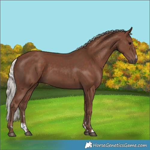 Horse Color:Silver Black  and Silver Black 