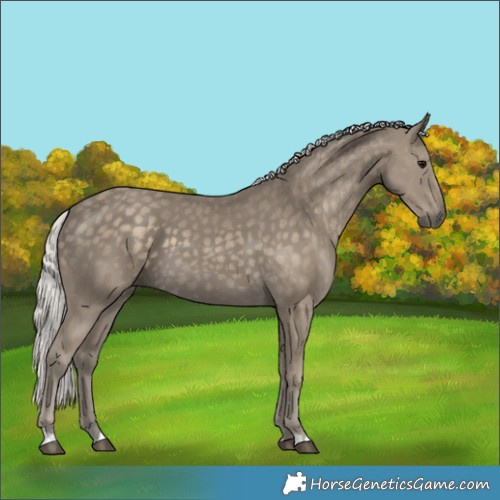 Horse Color:Silver Smoky Black 