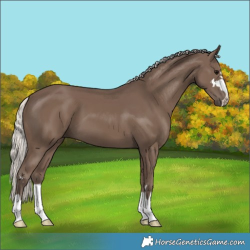 Horse Color:Silver Black