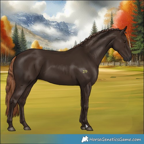 Horse Color:Liver Chestnut 