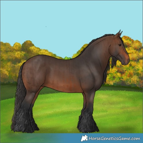 Horse Color:Brown  and Brown 