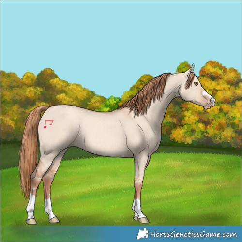 Horse Color:Gold Champagne Dun Rabicano