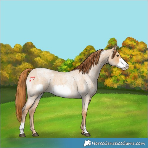 Horse Color:Red Dun Roan  and Red Dun Roan Frame 