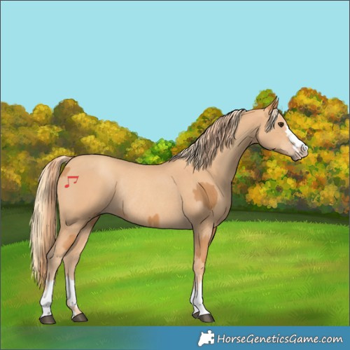Horse Color:Chestnut Rabicano  and Gold Champagne Rabicano 