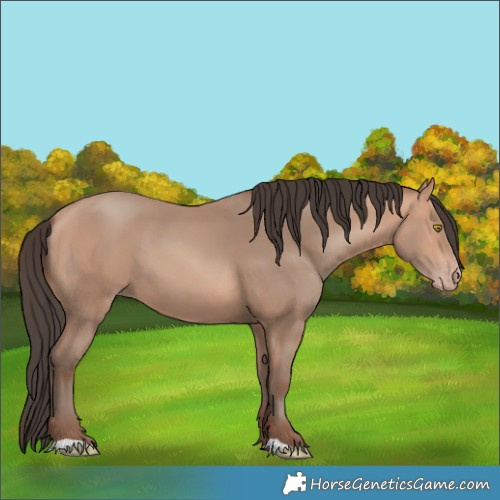 Horse Color:Amber Champagne