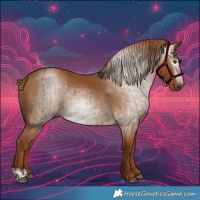 Horse Color:Gray Chestnut  and Gray Chestnut 