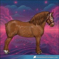 Horse Color:Gray Chestnut  and Gray Chestnut 
