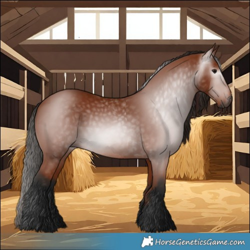 Horse Color:Gray Bay 