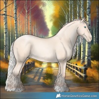 Horse Color:Silver Amber Cream Champagne Pearl Rabicano 