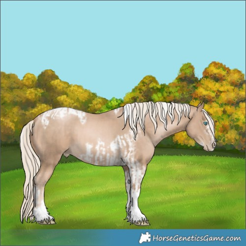 Horse Color:Chocolate Palomino Pearl Tobiano Frame  and Chocolate Palomino Pearl Tobiano Frame 