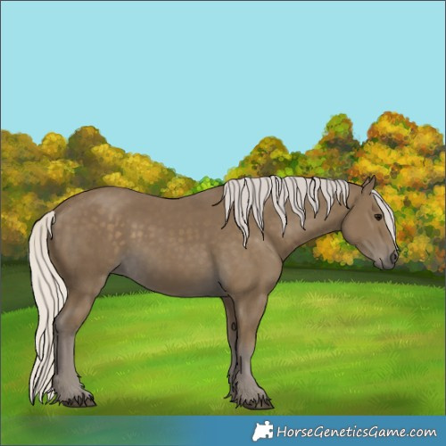 Horse Color:Silver Smoky Black