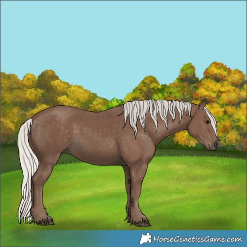 Horse Color:Silver Black 