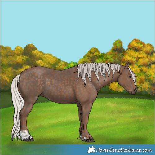 Horse Color:Silver Black and Silver Black