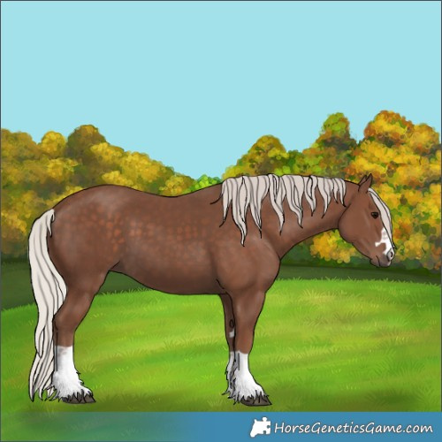 Horse Color:Silver Black