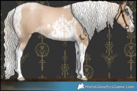 Horse Color:Chocolate Palomino Pearl Tobiano Frame  and Chocolate Palomino Pearl Splash Tobiano Frame 