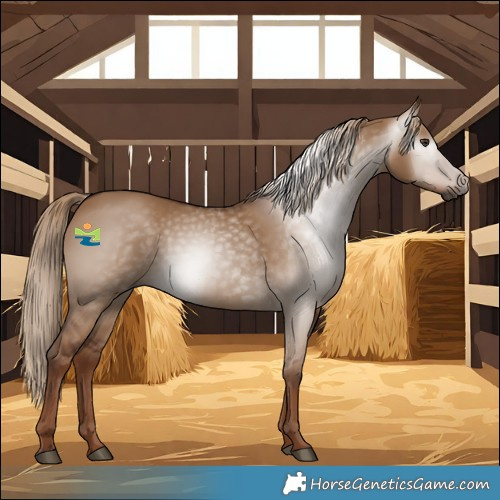 Horse Color:Gray Red Dun 