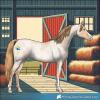 Horse Color:Gold Champagne Roan Rabicano  and Gold Champagne Roan Rabicano 