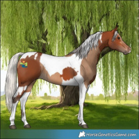 Horse Color:Silver Bay Tobiano and Silver Bay Dun Tobiano