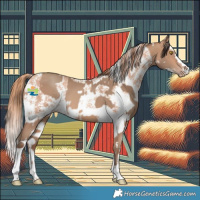 Horse Color:Amber Champagne and Gold Champagne Sabino