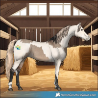 Horse Color:Brown Dun and Amber Cream Champagne Pearl