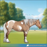 Horse Color:Silver Bay Dun Tobiano  and Silver Bay Dun 