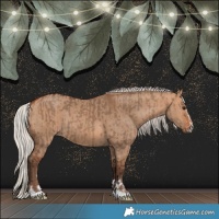 Horse Color:Silver Brown Dun and Silver Bay Dun