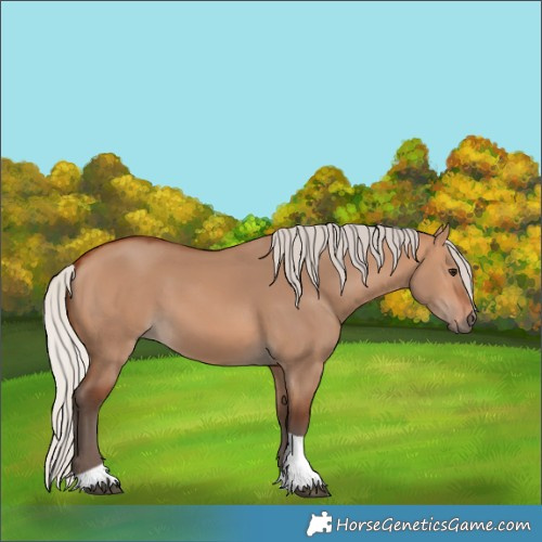 Horse Color:Silver Bay Dun Tobiano 