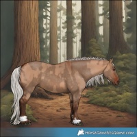 Horse Color:Silver Bay Dun and Silver Brown Dun