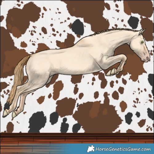 Horse Color:Gold Champagne Dun 