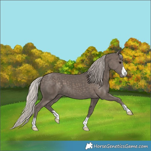 Horse Color:Silver Black 